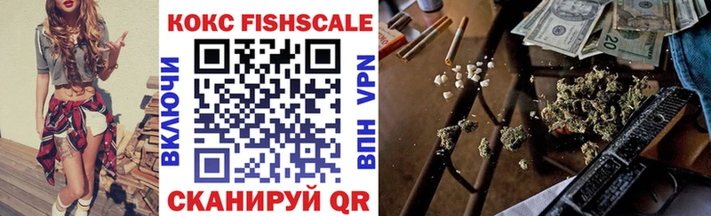 Кокаин Fish Scale  маркетплейс какой сайт  Пушкино 