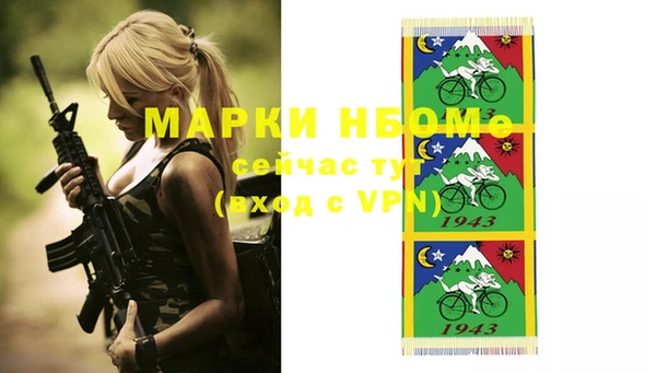 mdpv Бородино