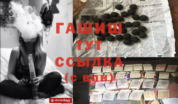 mdpv Бородино