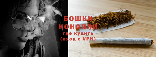 mdpv Бородино