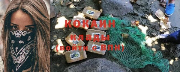 гидра Бронницы