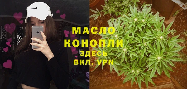 гидра Бронницы