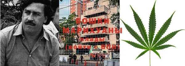 mdpv Бородино