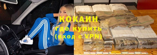 гидра Бронницы