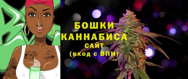 гидра Бронницы