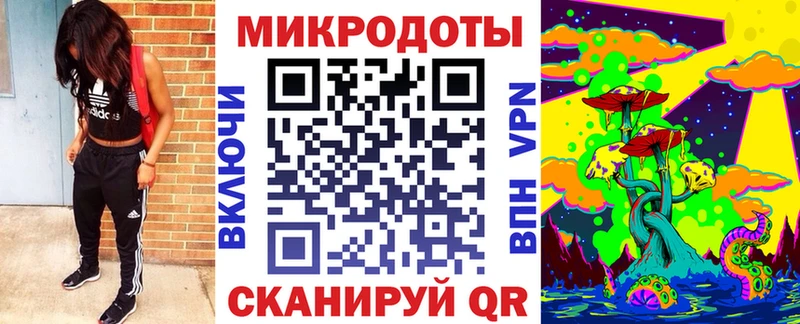 Галлюциногенные грибы Psilocybe Пушкино
