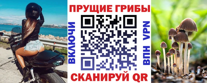 Псилоцибиновые грибы прущие грибы  купить закладку  Пушкино 